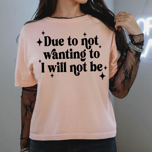 I Will Not Be